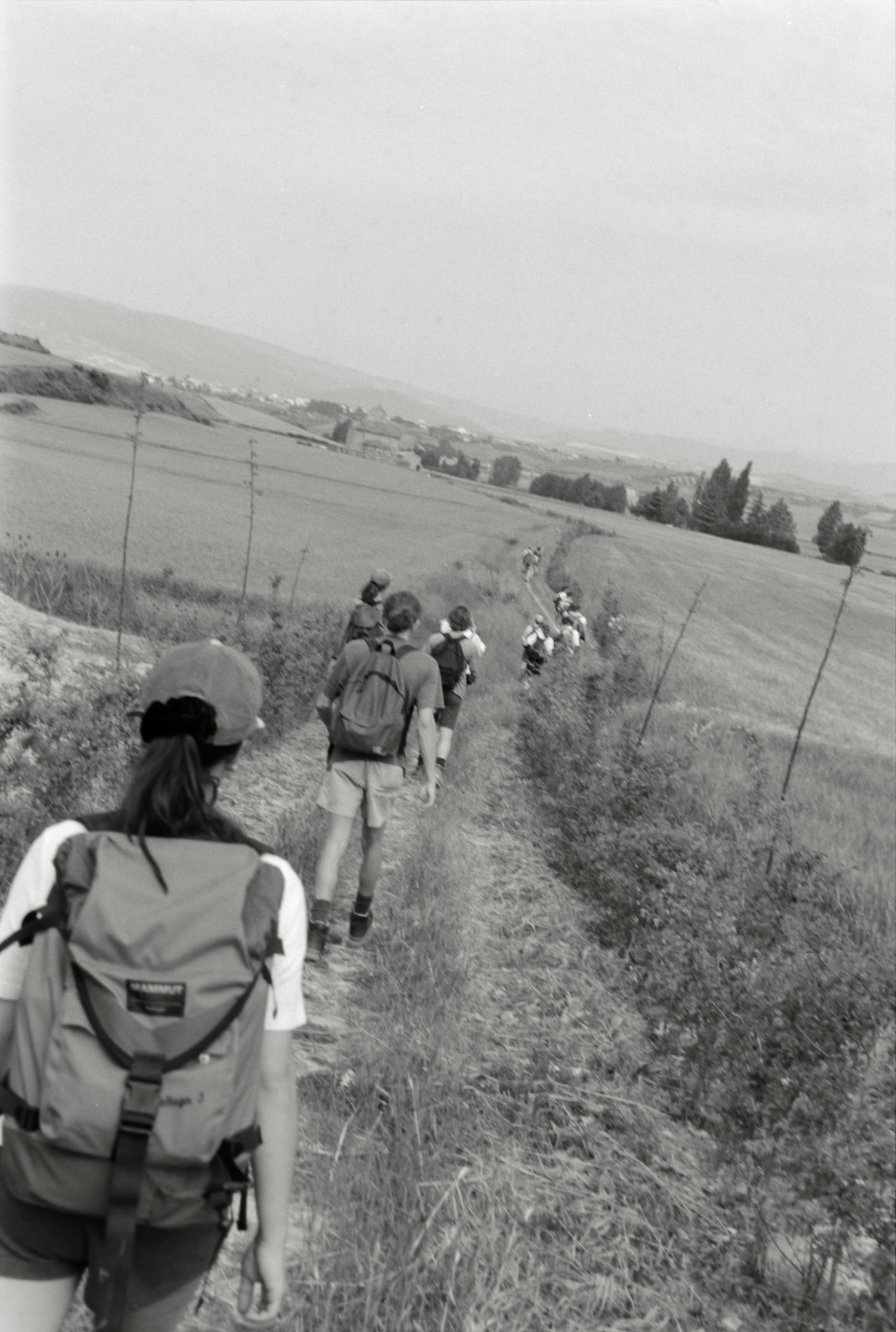 AHP F1995 05 006 sc240818 img07 NLP